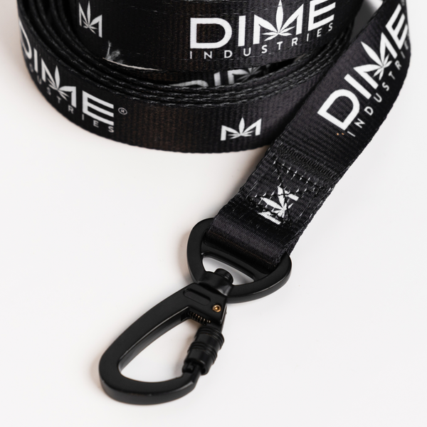 Dog Leash