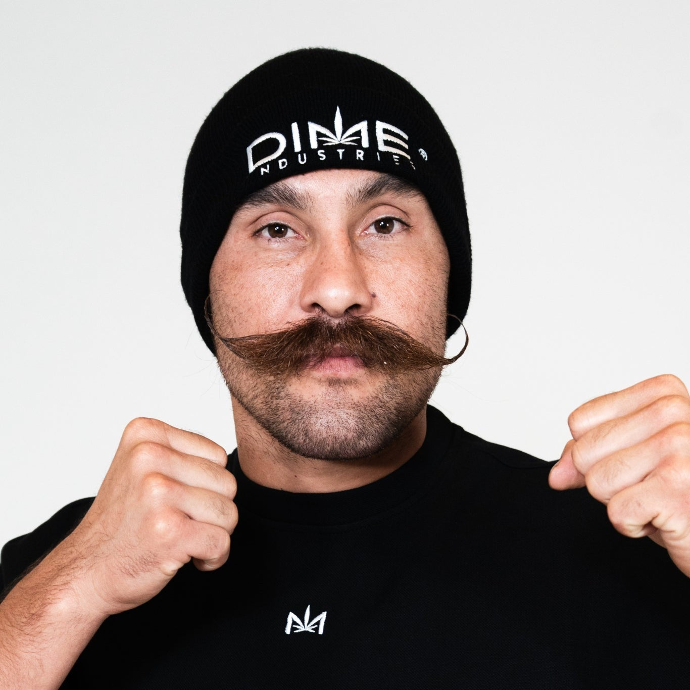 Traditional Logo Beanie