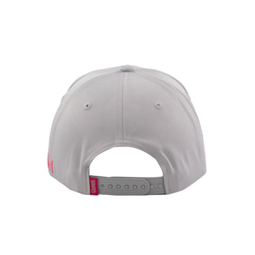 Industry Snapback
