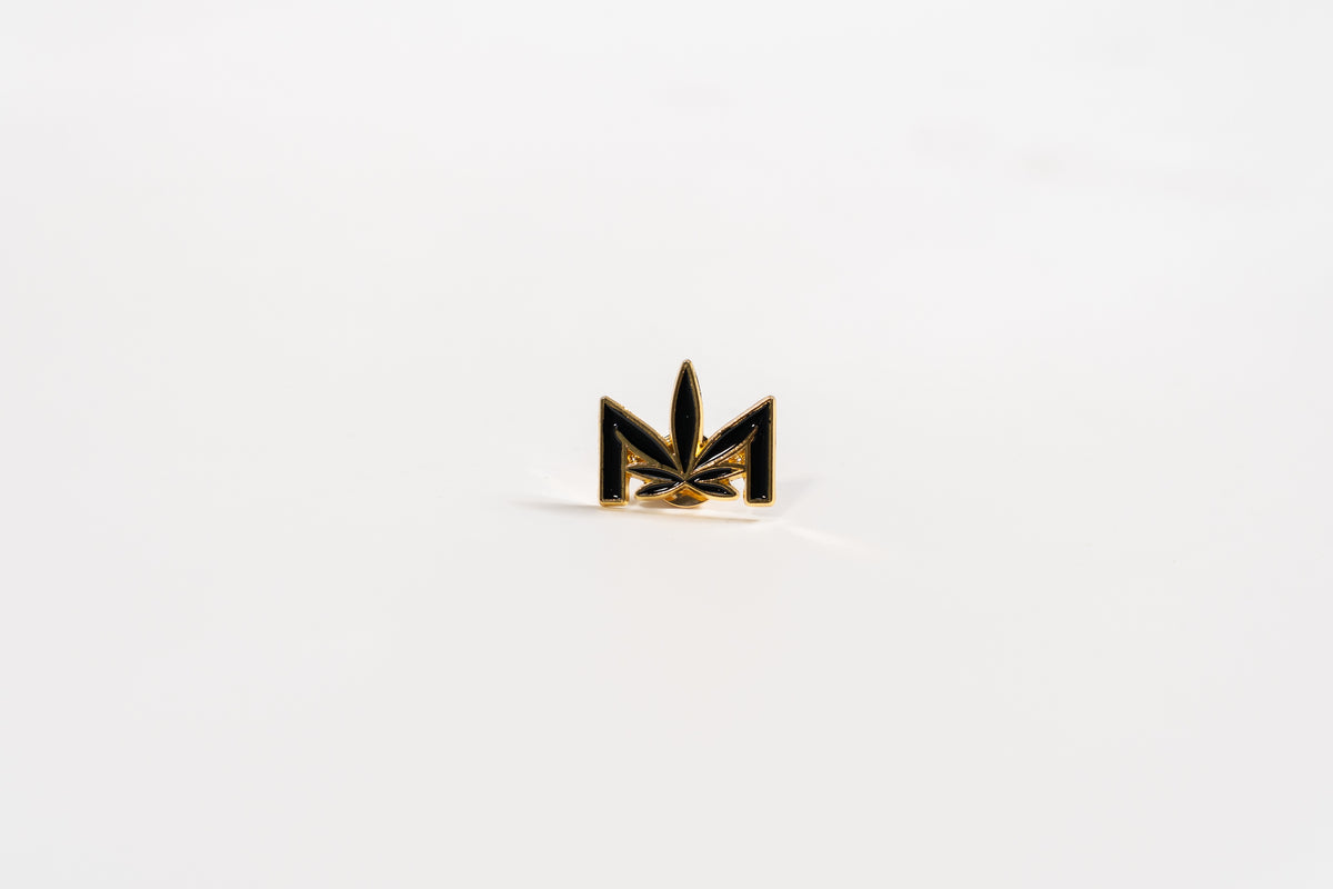 DIME Logo Pin